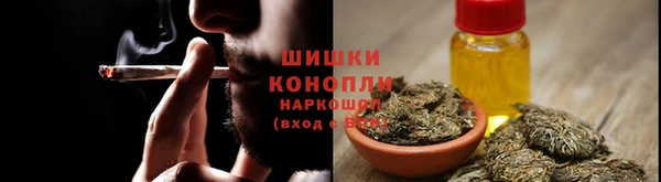 сатива Баксан